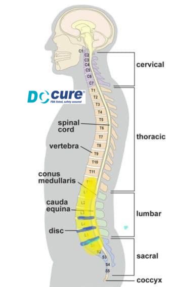 Six non-surgical methods for treating persistent back pain